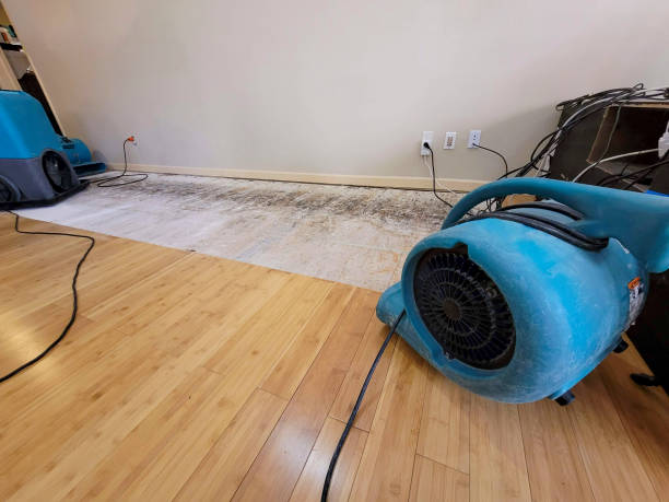 Professional Structural Drying technician working in Sacramento, CA